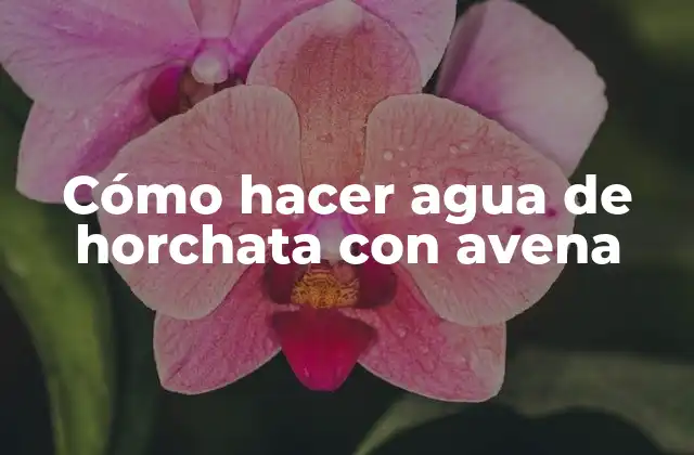 Cómo Hacer Agua de Horchata con Avena