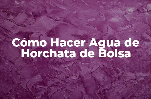 Cómo Hacer Agua de Horchata de Bolsa