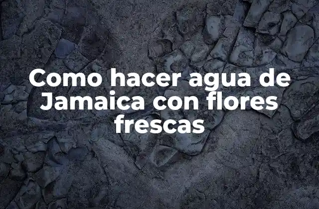 Como Hacer Agua de Jamaica con Flores Frescas