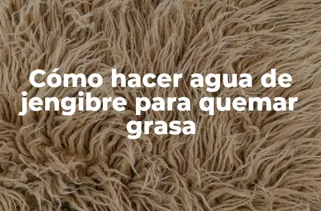 Cómo Hacer Agua de Jengibre para Quemar Grasa