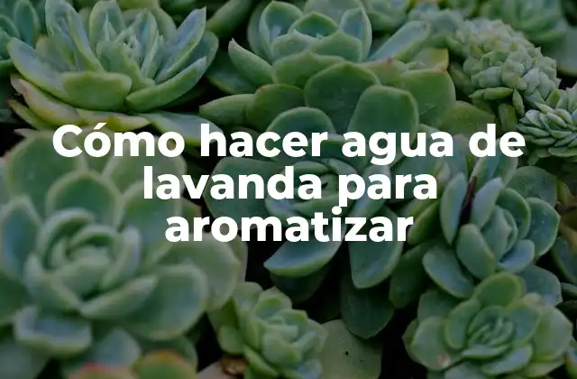 Cómo Hacer Agua de Lavanda para Aromatizar