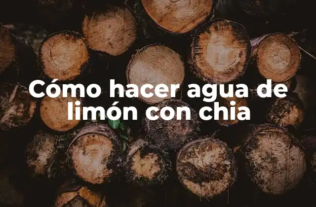 Cómo Hacer Agua de Limón con Chia