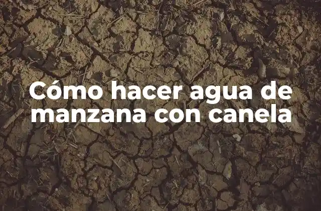 Cómo Hacer Agua de Manzana con Canela