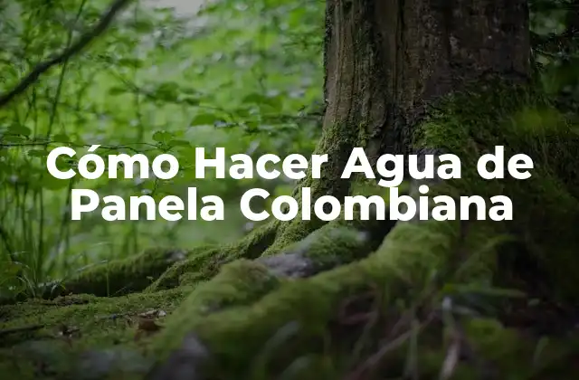 Cómo Hacer Agua de Panela Colombiana