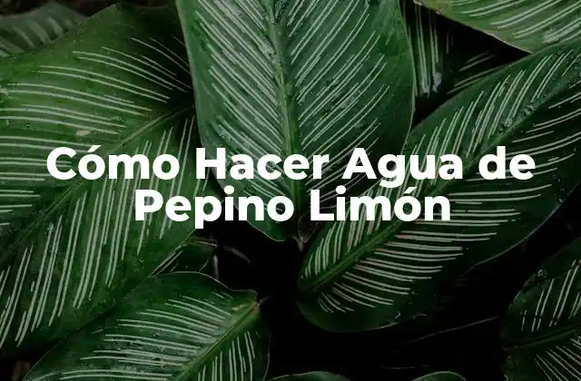 Cómo Hacer Agua de Pepino Limón