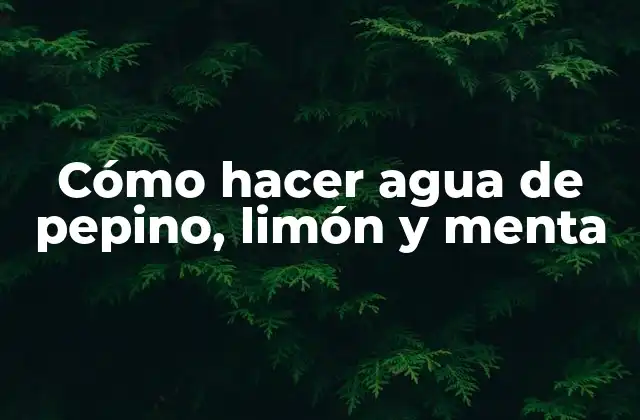 Cómo Hacer Agua de Pepino, Limón y Menta
