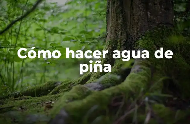 Cómo Hacer Agua de Piña