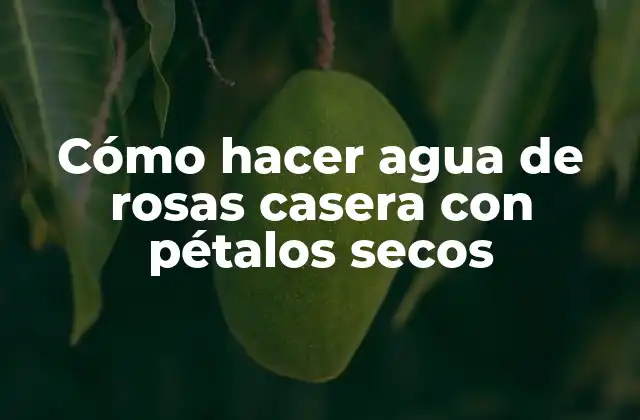 Cómo Hacer Agua de Rosas Casera con Pétalos Secos