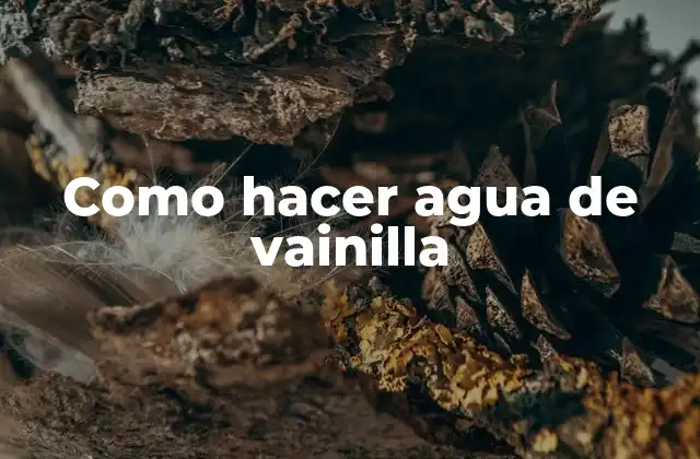 Como Hacer Agua de Vainilla