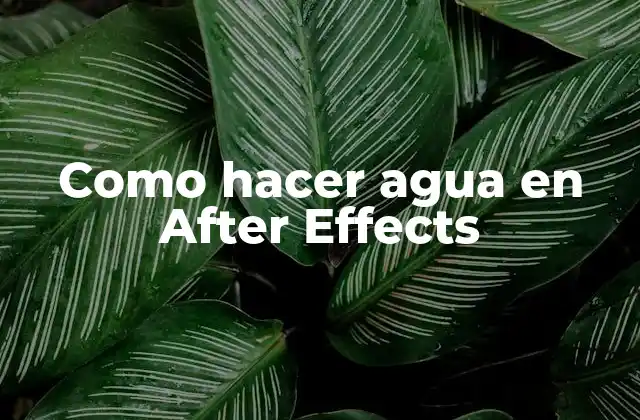 Como Hacer Agua en After Effects