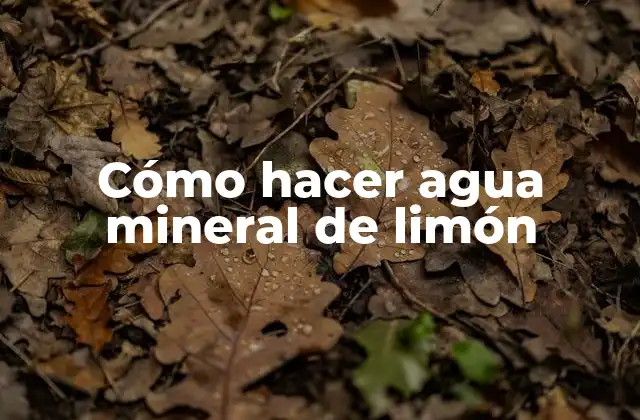 Cómo Hacer Agua Mineral de Limón