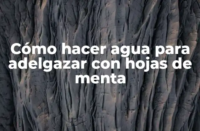 Cómo Hacer Agua para Adelgazar con Hojas de Menta