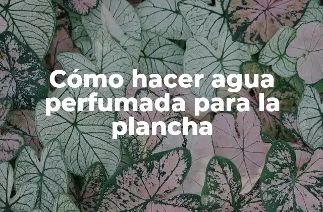 Cómo Hacer Agua Perfumada para la Plancha
