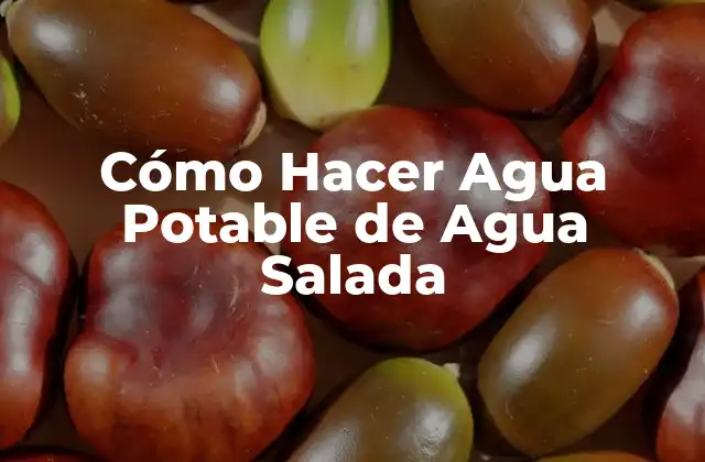 Cómo Hacer Agua Potable de Agua Salada
