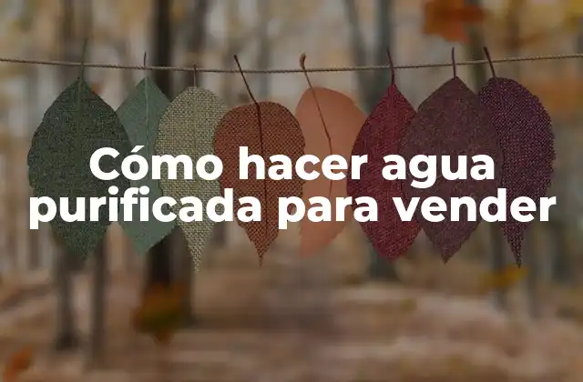 Cómo Hacer Agua Purificada para Vender
