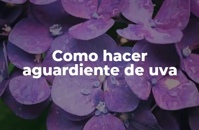 Como Hacer Aguardiente de Uva