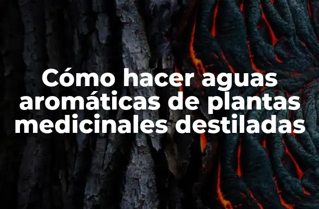 Cómo Hacer Aguas Aromáticas de Plantas Medicinales Destiladas