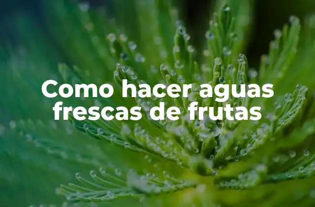 Como Hacer Aguas Frescas de Frutas