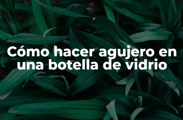 Cómo Hacer Agujero en una Botella de Vidrio 2 Cómo hacer agujero en una botella de vidrio