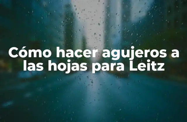 Cómo Hacer Agujeros a las Hojas para Leitz 2 Cómo hacer agujeros a las hojas para Leitz