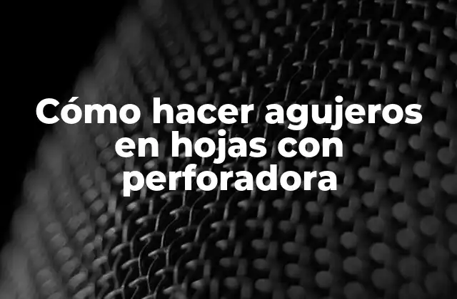 Cómo Hacer Agujeros en Hojas con Perforadora