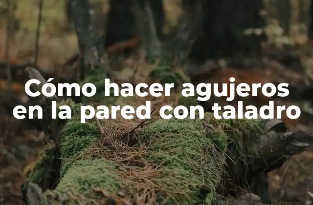 Cómo Hacer Agujeros en la Pared con Taladro