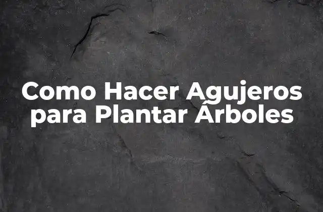 Como Hacer Agujeros para Plantar Árboles