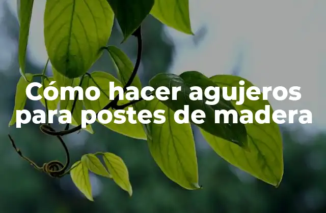 Cómo hacer agujeros para postes de madera