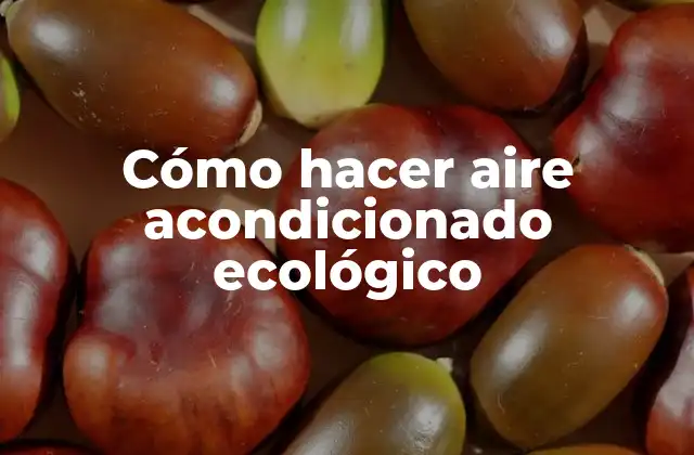 Cómo Hacer Aire Acondicionado Ecológico