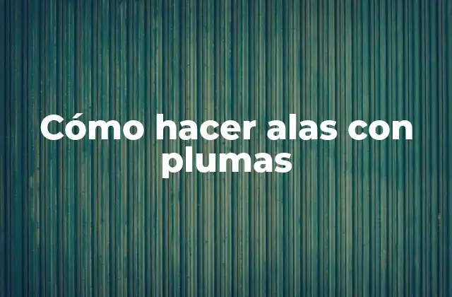 Cómo Hacer Alas con Plumas 2 ¿Qué son alas con plumas y para qué sirven?
