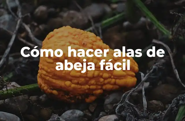 Cómo Hacer Alas de Abeja Fácil