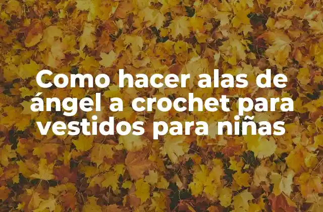 Como Hacer Alas de Ángel a Crochet para Vestidos para Niñas