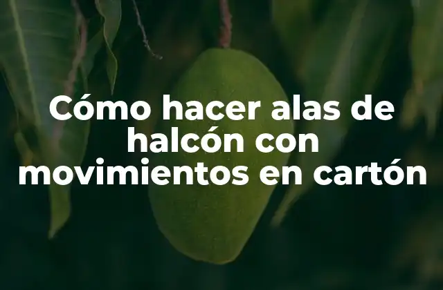 ¿Qué son las alas de halcón con movimientos en cartón?