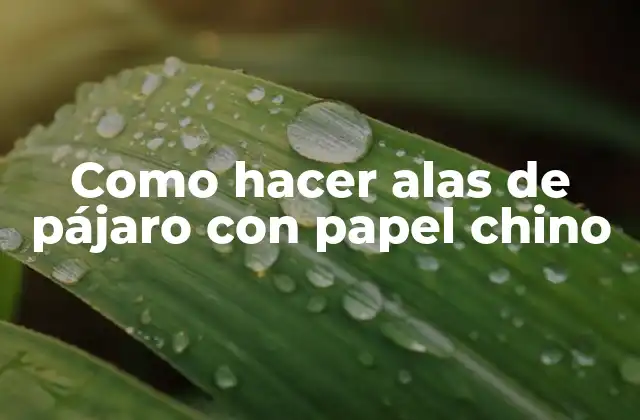 Como Hacer Alas de Pájaro con Papel Chino