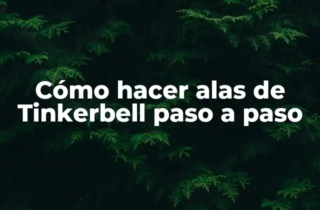Cómo Hacer Alas de Tinkerbell Paso a Paso 2 ¿Qué son las alas de Tinkerbell?