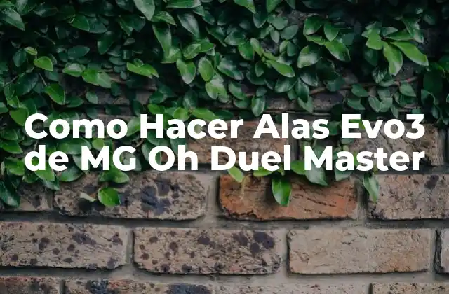 Como Hacer Alas Evo3 de Mg Oh Duel Master
