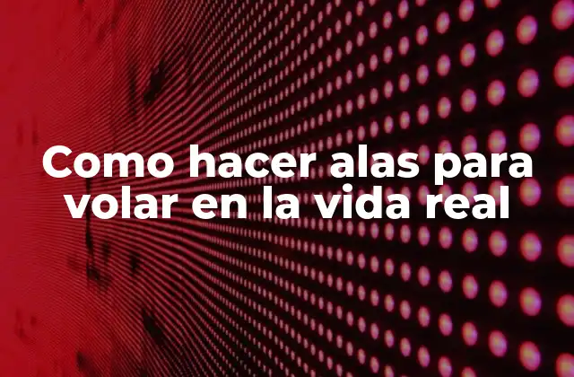 Como Hacer Alas para Volar en la Vida Real