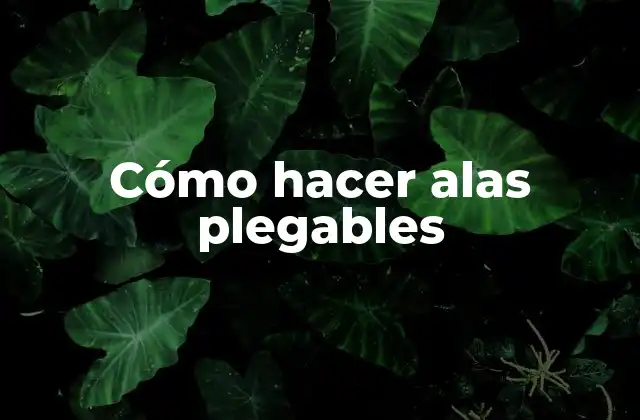 ¿Qué son alas plegables?