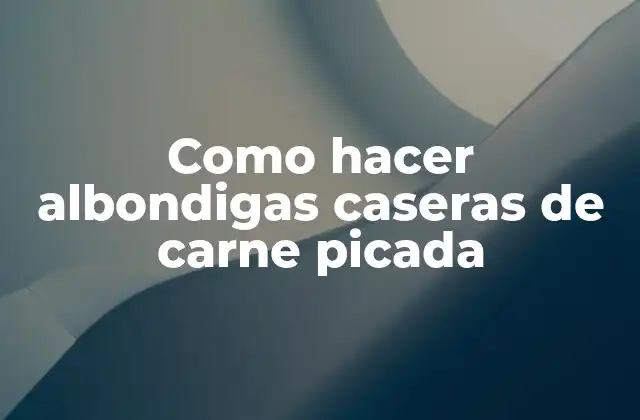 Como Hacer Albondigas Caseras de Carne Picada