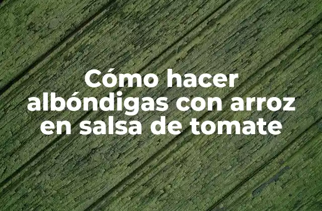 Cómo Hacer Albóndigas con Arroz en Salsa de Tomate 2 Cómo hacer albóndigas con arroz en salsa de tomate