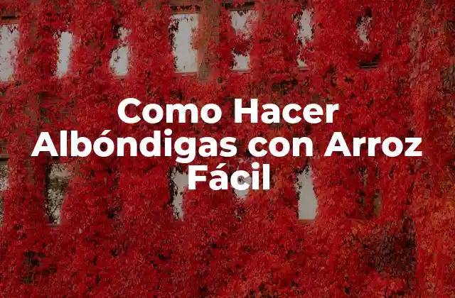 Como Hacer Albóndigas con Arroz Fácil