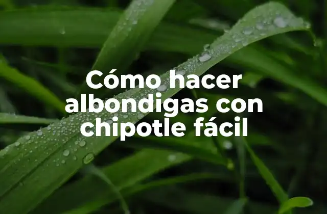 Cómo Hacer Albondigas con Chipotle Fácil