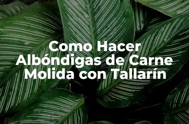 ¿Qué son las Albóndigas de Carne Molida con Tallarín?