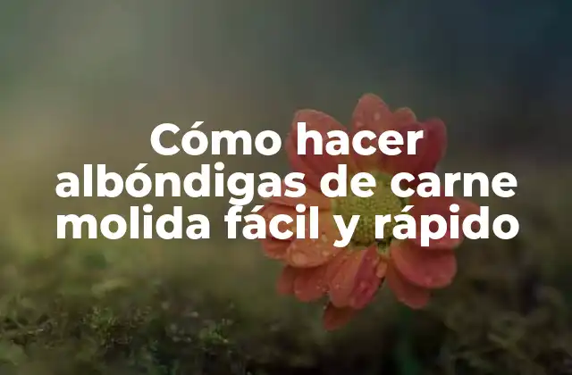 Cómo Hacer Albóndigas de Carne Molida Fácil y Rápido 2 ¿Qué son las albóndigas de carne molida?