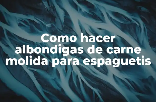 Como Hacer Albondigas de Carne Molida para Espaguetis
