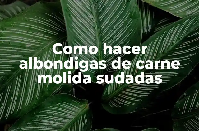 Como Hacer Albondigas de Carne Molida Sudadas 2 Albondigas de carne molida sudadas