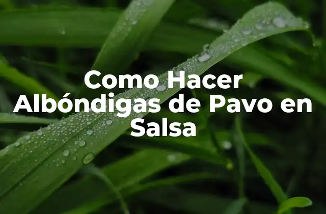 Como Hacer Albóndigas de Pavo en Salsa 2 ¿Qué Son las Albóndigas de Pavo en Salsa?