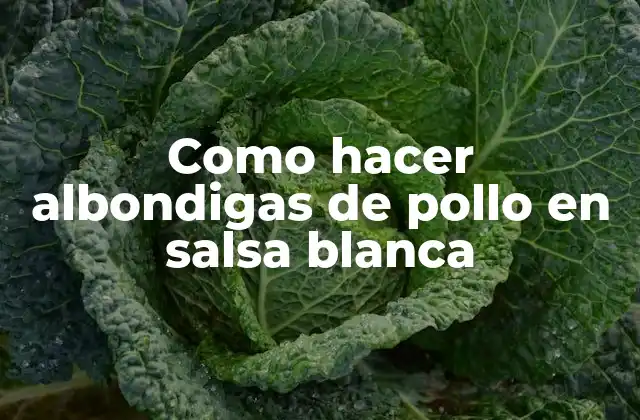 Como Hacer Albondigas de Pollo en Salsa Blanca