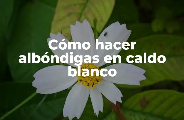 Cómo Hacer Albóndigas en Caldo Blanco
