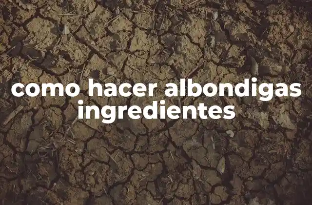 Como Hacer Albondigas Ingredientes